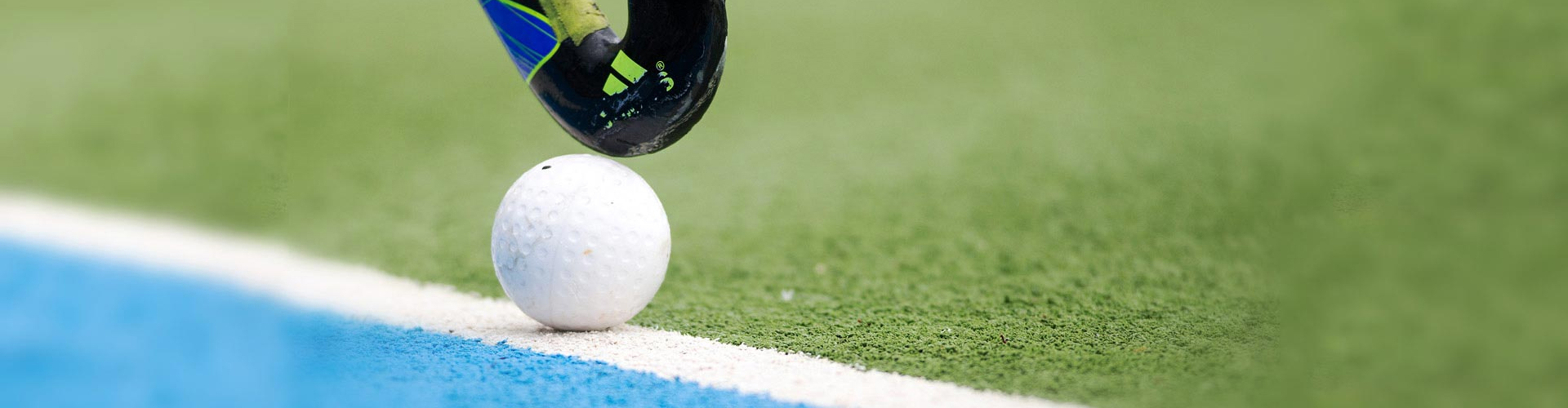 Pro League Hockey: Your Role in Victory!